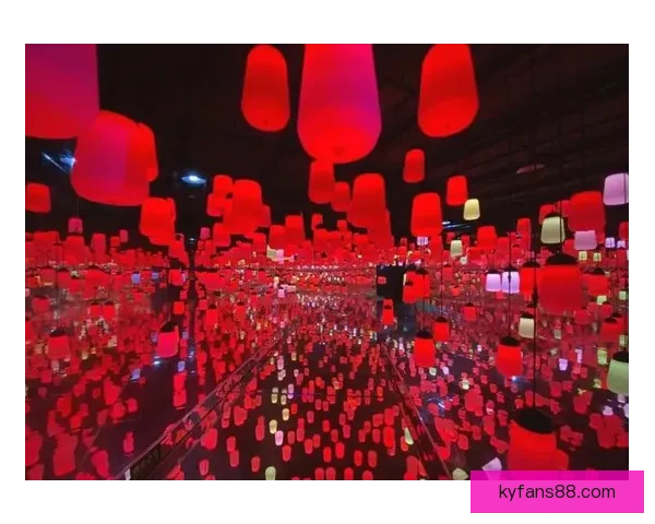 开云APP全面解析与实用功能指南助力用户高效体验